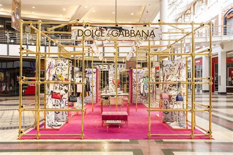 dolce and gabbana cape town.